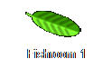 Fishroom 1