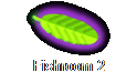 Fishroom 2