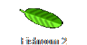 Fishroom 2