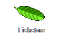 Fishstore