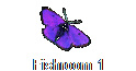 Fishroom 1