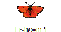 Fishroom 1